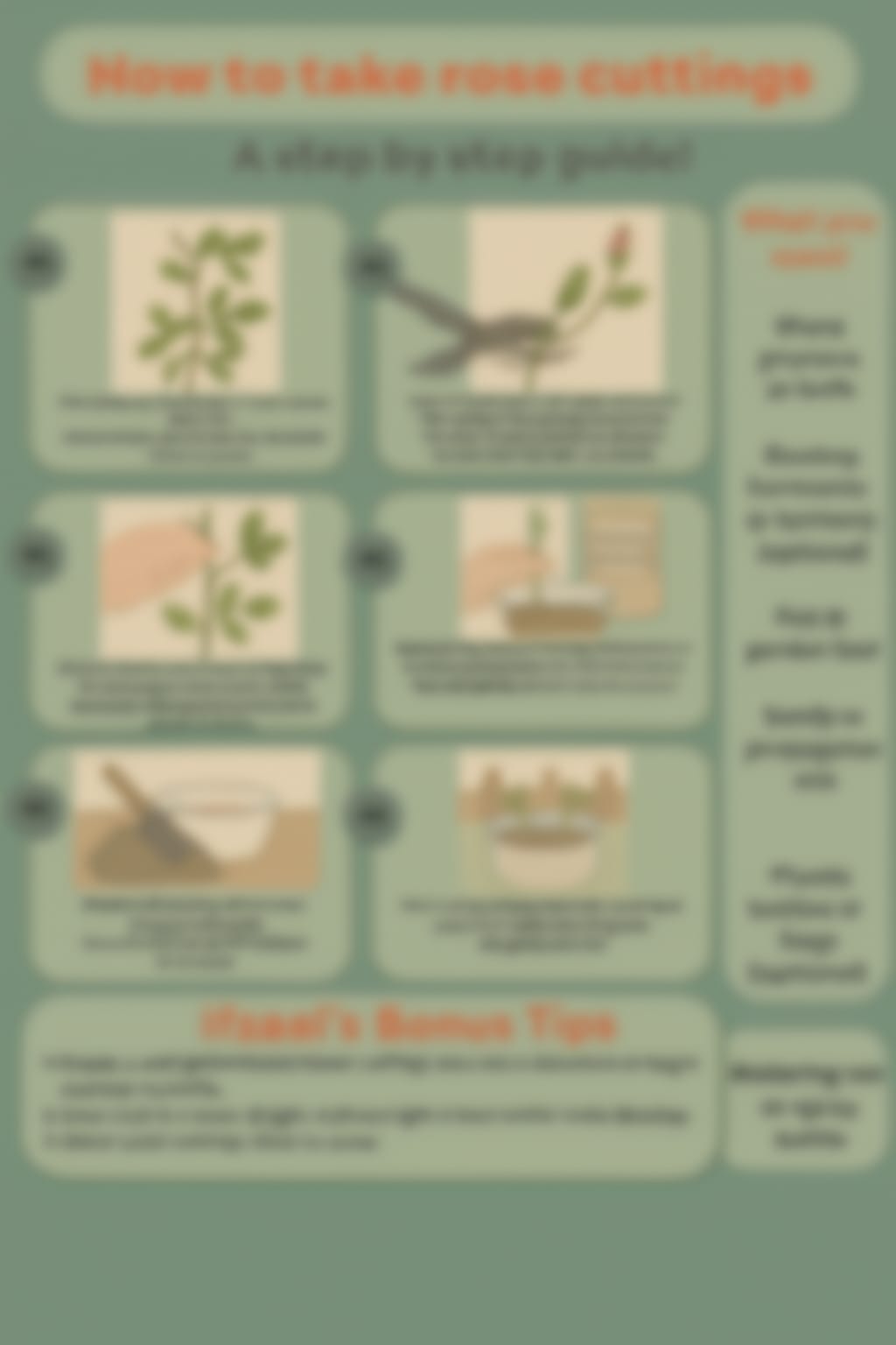 How to take Rose Cuttings