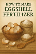 How to Make Eggshell Fertilizer