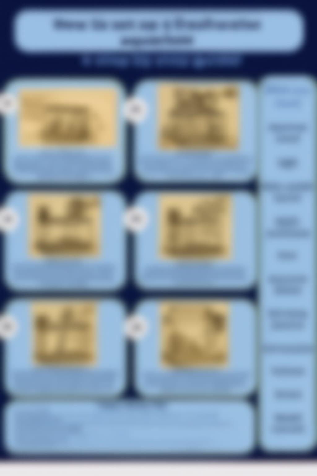 How to Set Up a Fish Tank