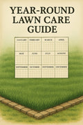 Year Round Lawn Care Guide